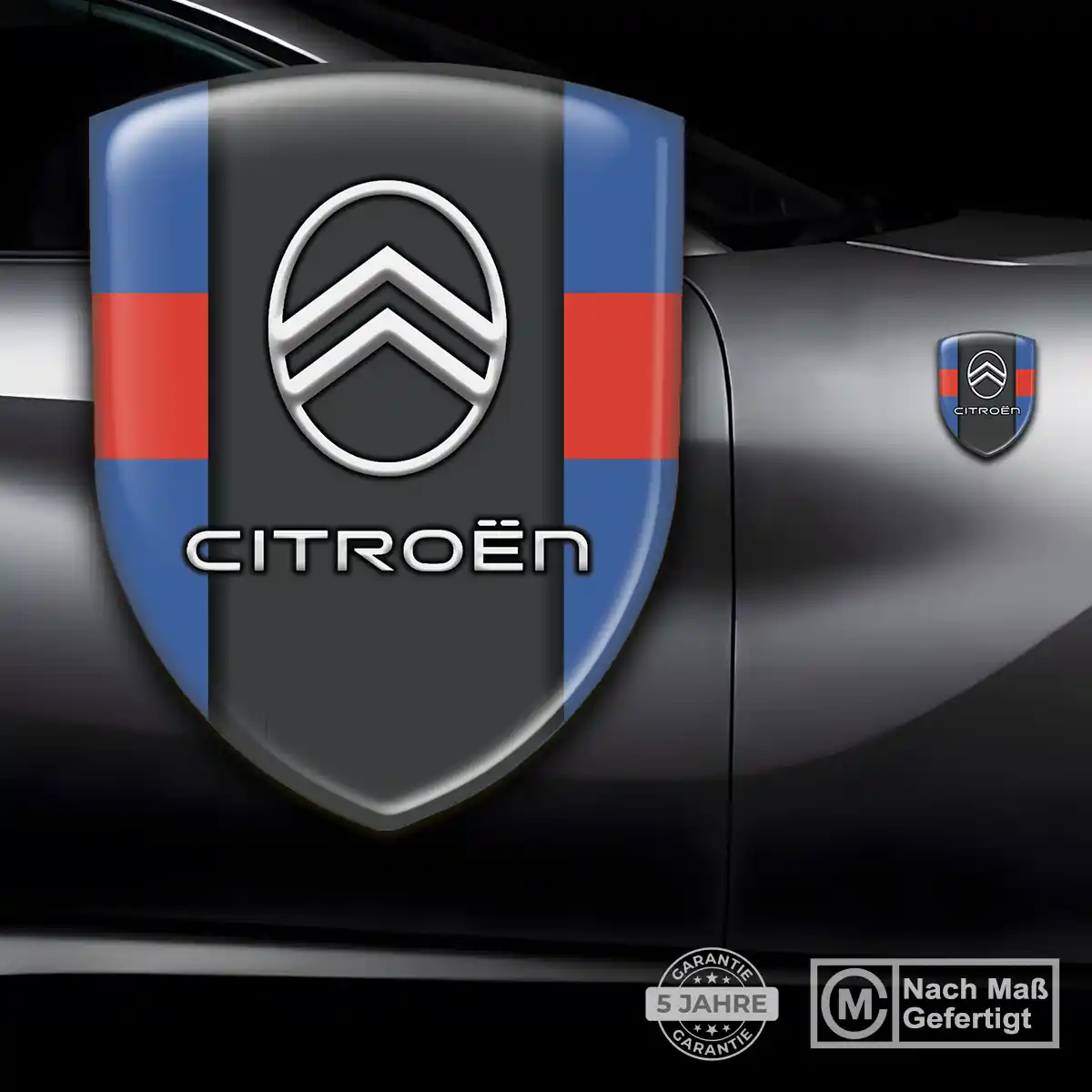 Citroen Emblem Wappen Auto Exterieurdesign