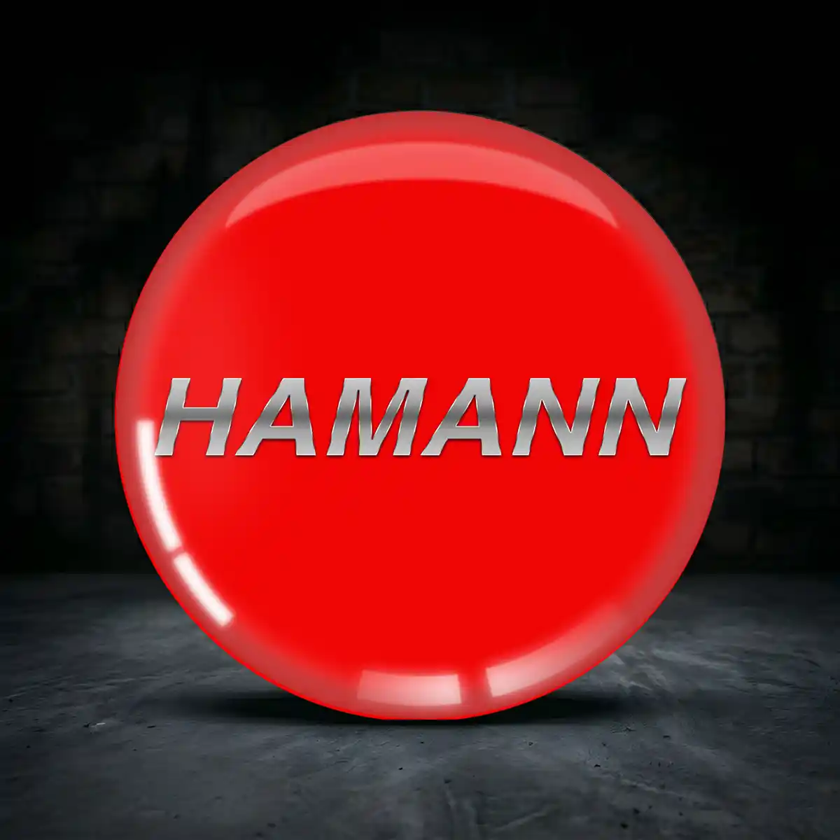 Hamann Silikon Aufkleber Embleme Hohe Qualität