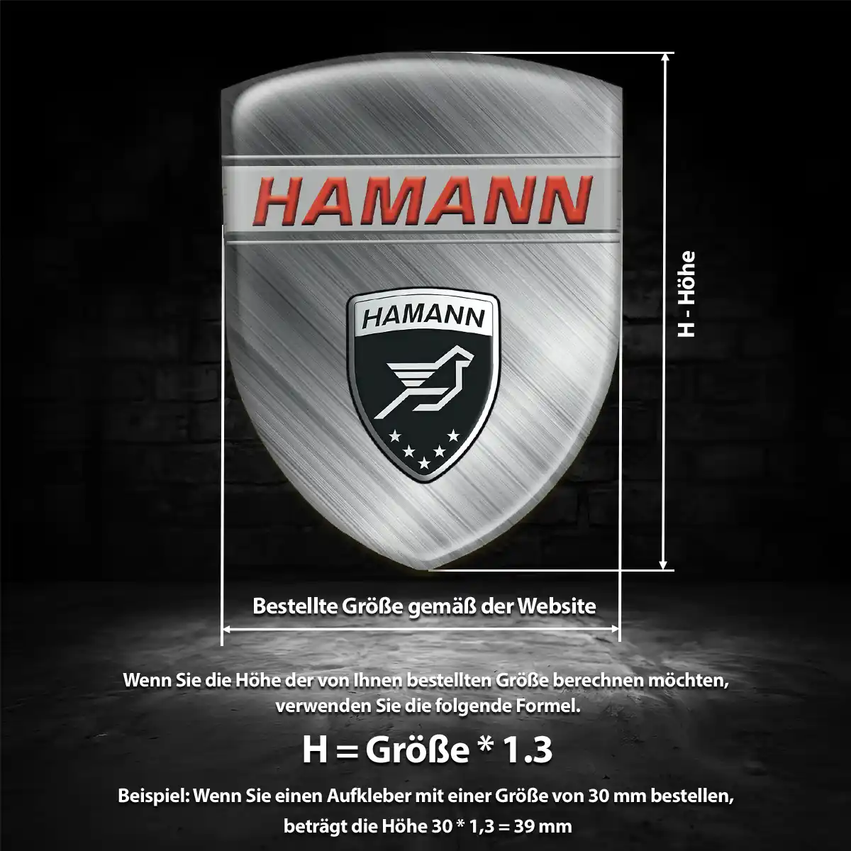 Hamann Emblem Auto Interieurdesign
