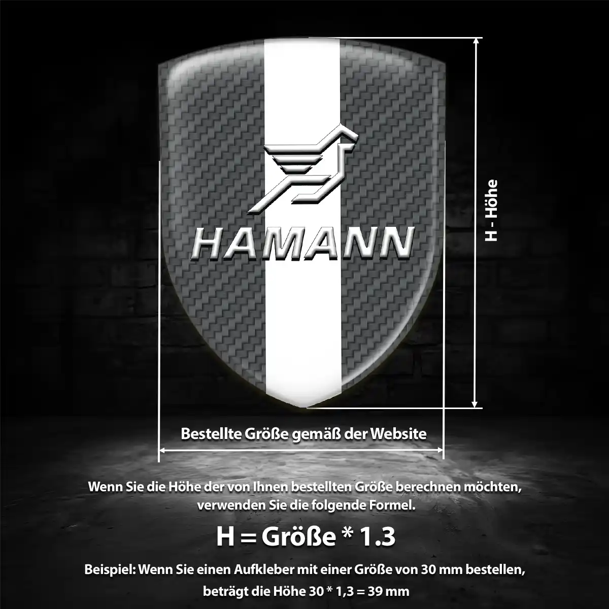 Hamann Embleme Auto Exterieurdesign