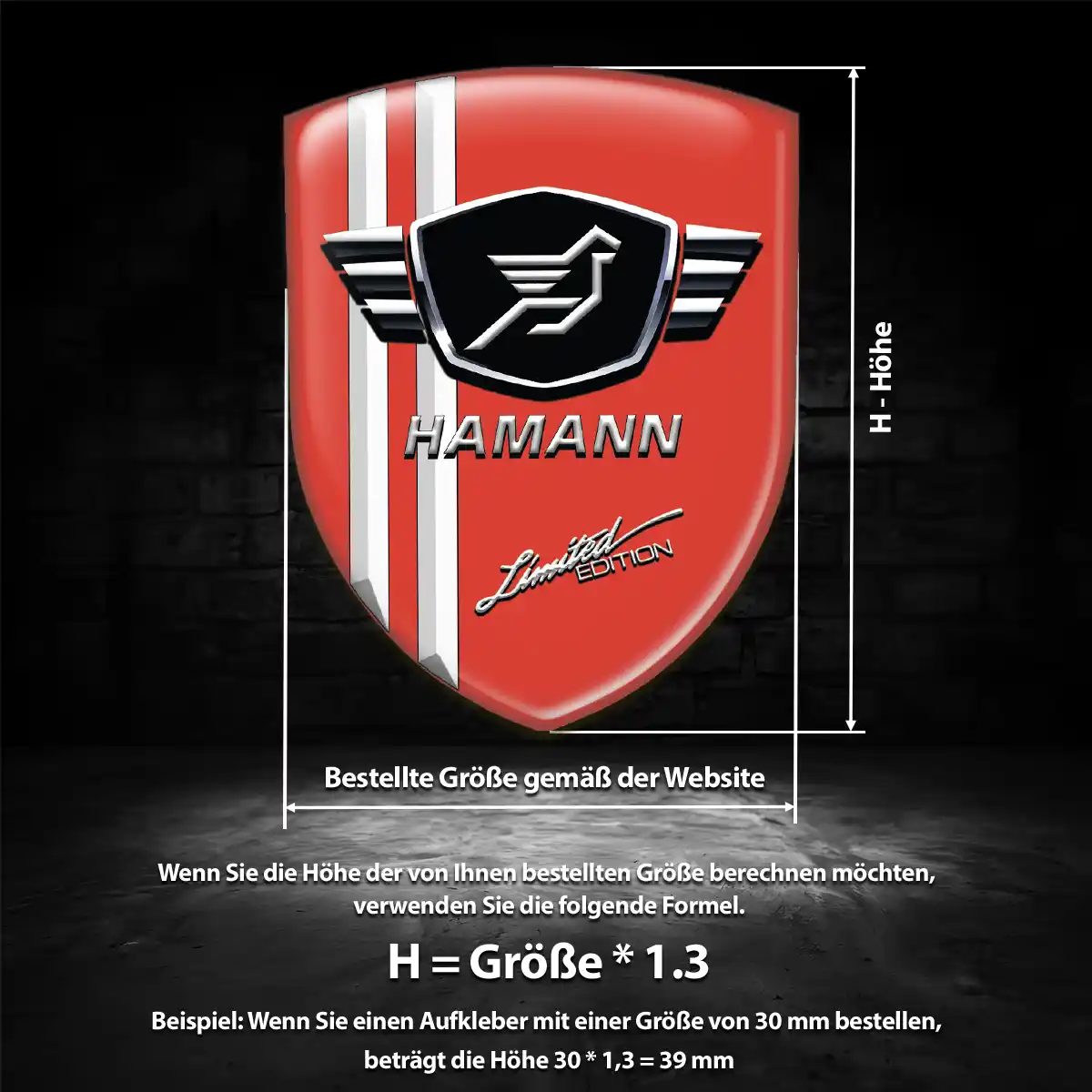 Hamann Embleme Auto Interieurdesign