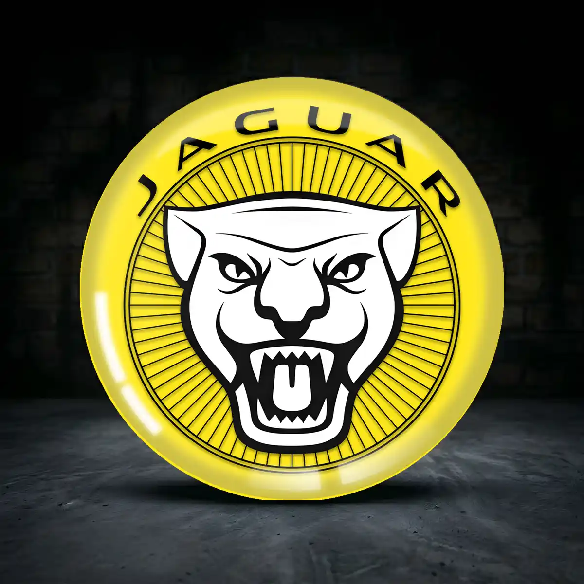 Jaguar Aufkleber Fur Radkappen Hohe Qualität